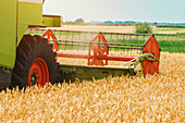 Combine harvester harvesting wheat crop