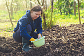 Woman sowing onions in organic vegetable garden