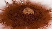 Cookie falling in cocoa, slow motion