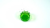 Green food colouring falling, slow motion