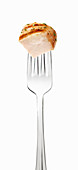 Piece of grilled chicken breast on a fork