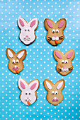 Easter Bunny Biscuits