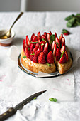 A basil cake with fresh strawberries and mint syrup