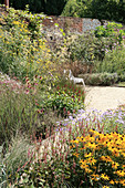 Natural-style herbaceous borders, paths and brick wall in garden late summer