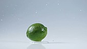 Lime falling in water, slow motion