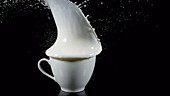 Cup with milk overflowing, slow motion