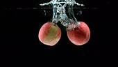 Two apples falling in water, slow motion