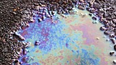 Iridescent colours in oily puddle