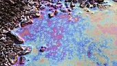 Iridescent colours in oily puddle