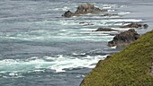 Ramsay Sound tidal race