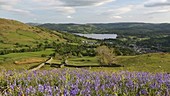 Lake District view