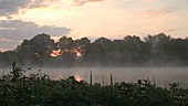 Misty lake scene