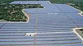 Solar farm, aerial