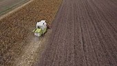 Combine harvester in field