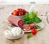 Ingredients: mozzarella, salami, tomatoes and basil