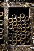 Old bottles of wine with cellar mould in a cellar