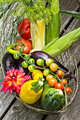 Drahtkorb mit verschiedenen Gemüsesorten