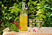 Scented geranium syrup on a garden table