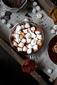 Wintergetränk: Heiße Schokolade mit Marshmallows (Aufsicht)
