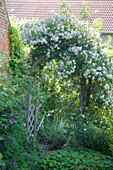 Rosenbogen im Garten