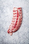 Uncooked pork ribs on textured gray background