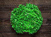 Fresh green lettuce on a rustic background