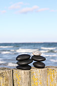 Schwarze Steine und ein heller Stein auf Holzpfahlen am Meer