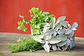 Fresh herbs for making natural cosmetics