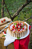 Strawberry Charlotte cake