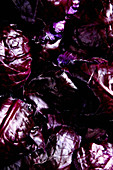 An arrangement of purple shades made from red cabbage leaves (full frame)