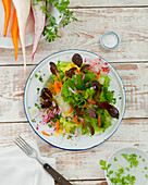A mixed leaf salad with radishes and carrots