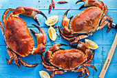 Three cooked crabs with lemons and chili peppers