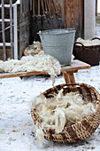 Freshly shorn and cleaned wool in a basket and on a wooden bench