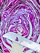 A halved red pointed cabbage (close-up)