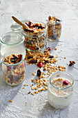 Muesli with milk, cranberries, dried fruits and nuts