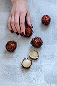 The girl stretches out her hand and takes rambutan