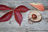 Table decoration handmade from slice of branch and horse chestnut