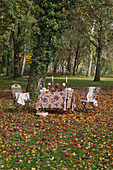 Table set for autumn and two chairs in garden