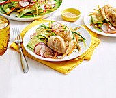 Pork Gyoza Salad