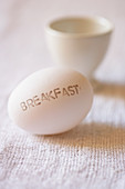 Breakfast Egg Cup