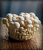 White enoki mushrooms