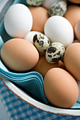 Various eggs in a ceramic bowl