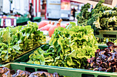 Vegetable varieties at a market