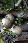 Vintage Christmas-tree baubles amongst mistletoe and lichen