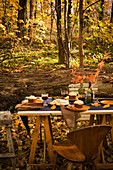 Gedeckter Tisch in herbstlichem Wald