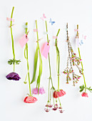 Various spring flowers hung upside down by washi tape