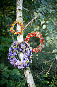 Wreaths of rose hips with and without yellow flowers and wreath of hydrangeas and blackcurrants hung on tree