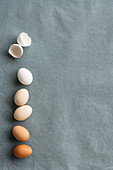 Eggs and egg shells on a grey surface