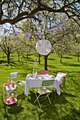 Gedeckter Tisch, Lampion und Getränketisch unter blühendem Kirschbaum im Garten