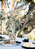Laid table with olive branch in the garden